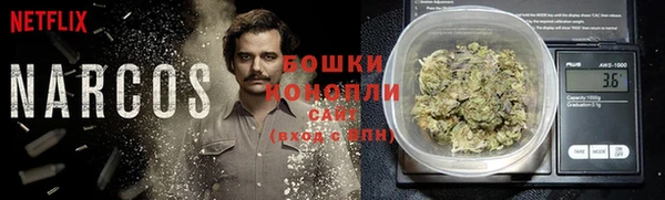 хмурый Покачи