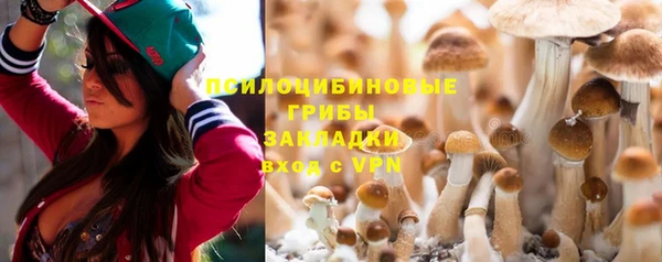 молекула духа Покров