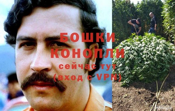 молекула духа Покров