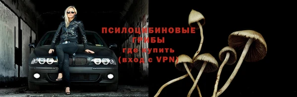 эйфоретик Сосновый Бор
