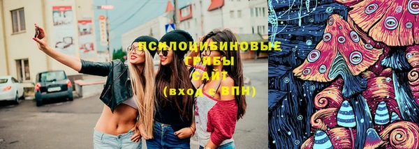 хмурый Покачи