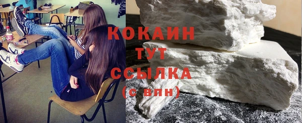 молекула духа Покров