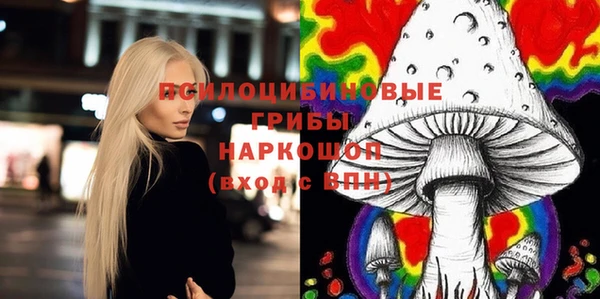 хмурый Покачи