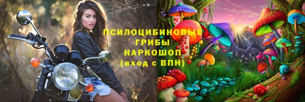 молекула духа Покров