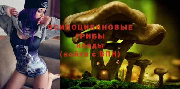 молекула духа Покров