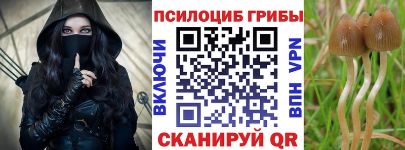 Псилоцибиновые грибы Cubensis  Семилуки 