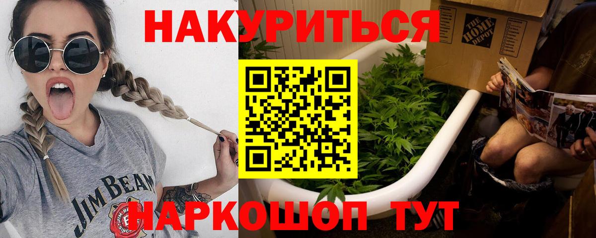 Каннабис сатива Семилуки